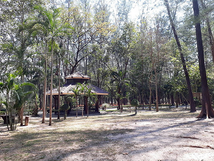 สวนรุกขชาติหนองตาอยู่Nongtayu Arboretum