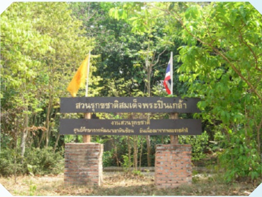Arboretum Somdet Phra Pinklaoสวนรุกขชาติสมเด็จพระปิ่นเกล้า