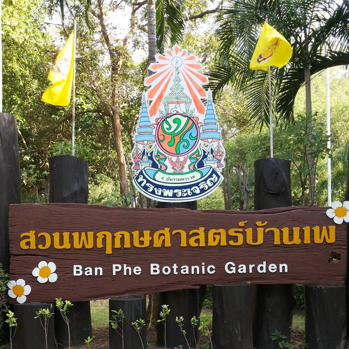 สวนพฤกษศาสตร์บ้านเพ Ban Phe Botanical Garden