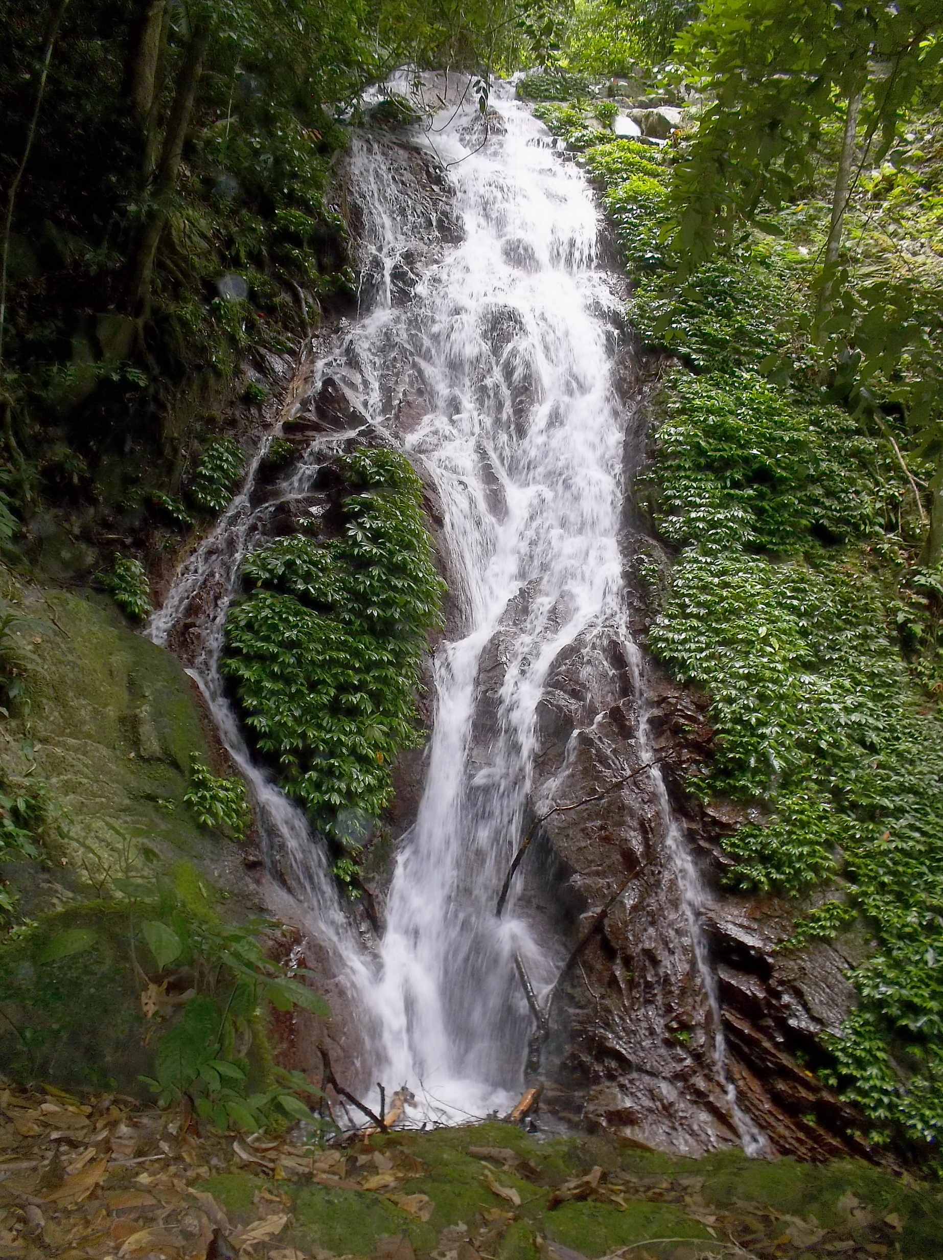น้ำตกปากแจ่มPakjam Waterfall 