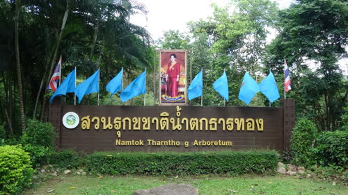 Namtok TarnThong  Waterfall น้ำตกธารทอง 