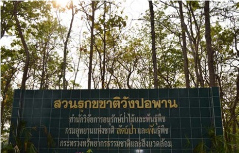 สวนรุกขชาติวังปอพานWang Por Phan Arboretum