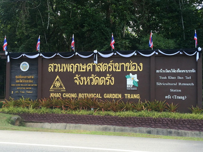 Khao Chong Botanical Gardenสวนพฤกษศาสตร์เขาช่อง 