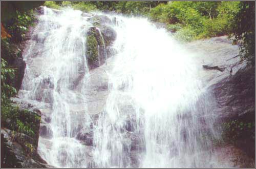 น้ำตกแม่เปียกMae Piag Waterfall