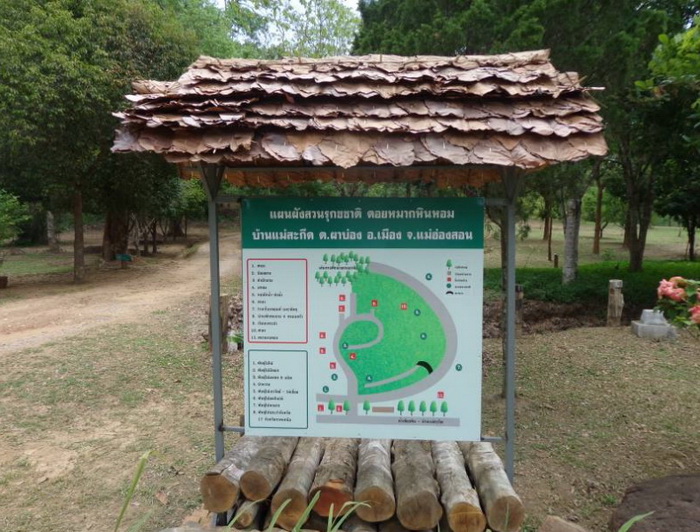 สวนรุกขชาติดอยหมากหินหอมDoi Mark Hin Hom Arboretum