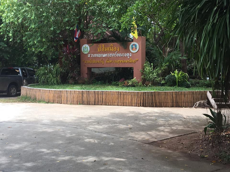Phanang Tung Botanical Gardenสวนพฤกษศาสตร์พนางตุง 