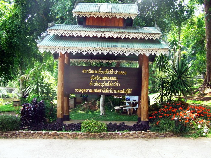 สถานีเพาะเลี้ยงสัตว์ป่าปางตองPang Tong wildlife breeding station