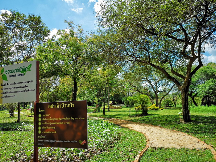 สวนพฤกษศาสตร์ดงฟ้าห่วน Dong Fa Huan Botanical Garden